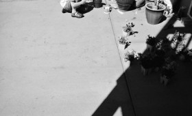 family-photographs-arvada-colorado-9 family-photographs-arvada-colorado-9